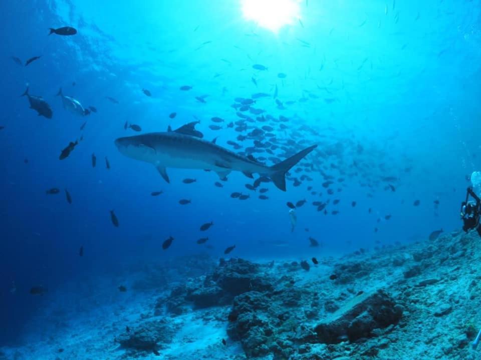 Endhaa, Divers Home Fuvahmulah Exteriör bild