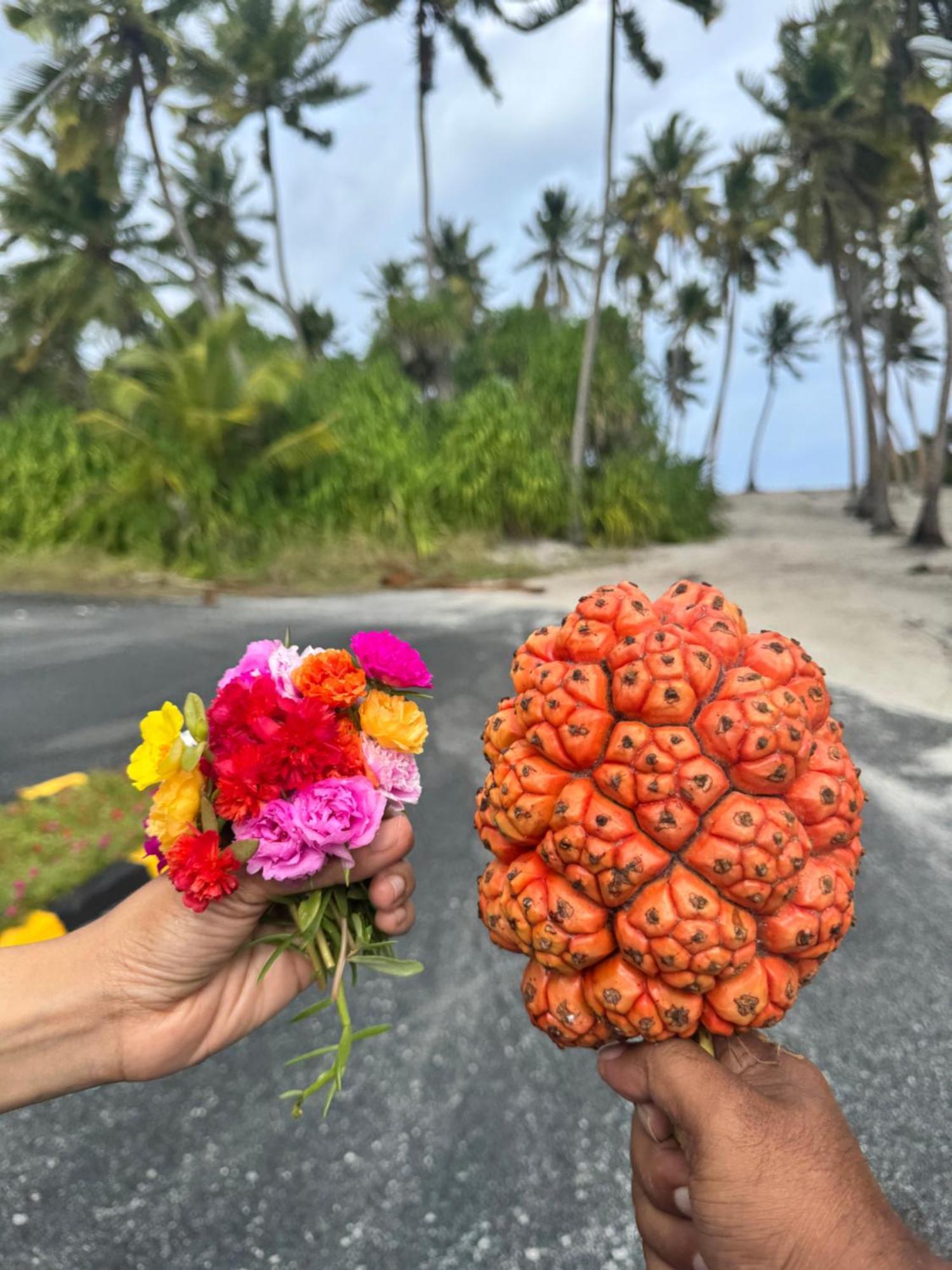 Endhaa, Divers Home Fuvahmulah Exteriör bild